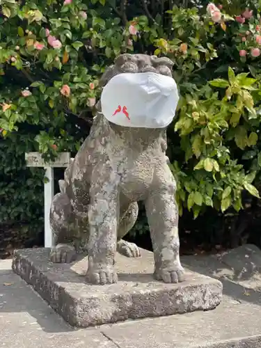 鶴岡八幡宮の狛犬