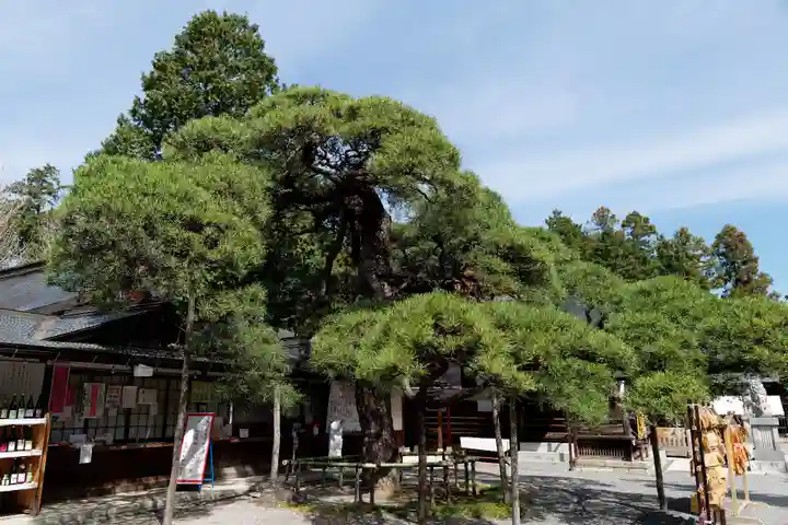 甲斐國一宮 浅間神社(山梨県)