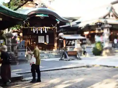 髙牟神社の本殿・本堂