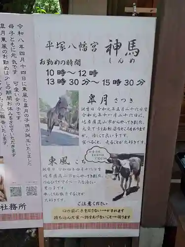 平塚八幡宮(神奈川県)