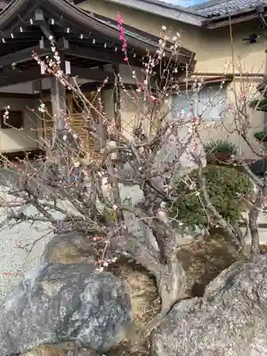 長善寺(神奈川県)