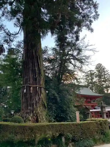 香取神宮の自然