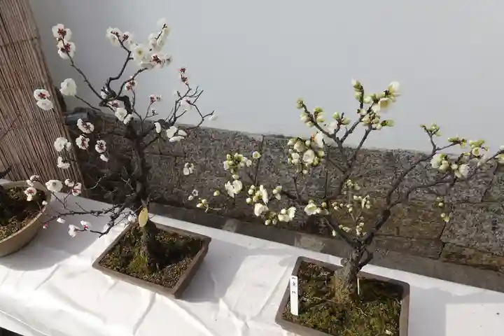 菅原天満宮(菅原神社)のその他建物