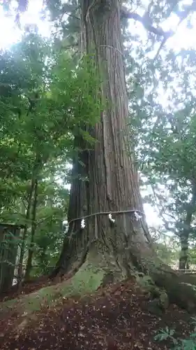 須佐神社(島根県)