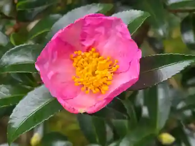 霊鑑寺門跡(京都府)