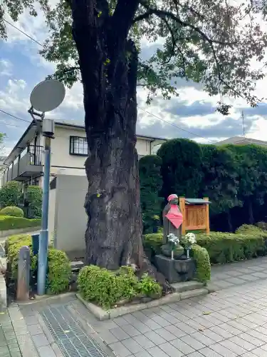 泉龍寺別院(東京都)