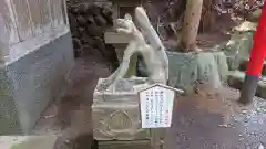 白笹稲荷神社の狛犬