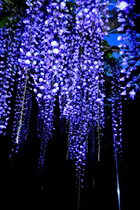 白旗神社(神奈川県)