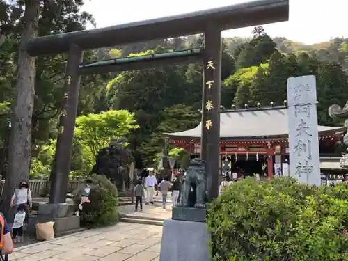 大山阿夫利神社の鳥居