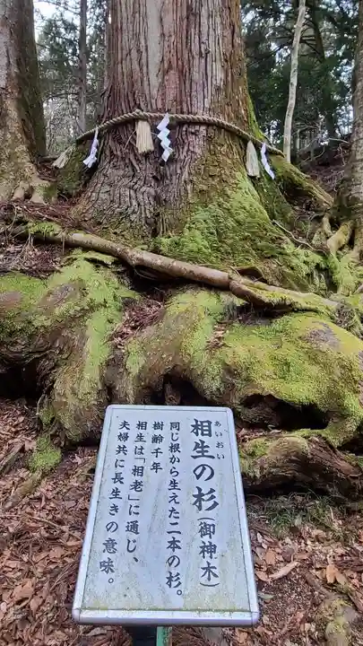 貴船神社の歴史