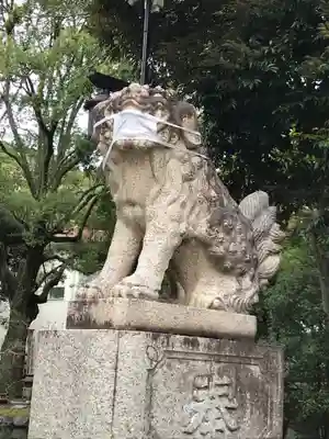 平塚八幡宮の狛犬