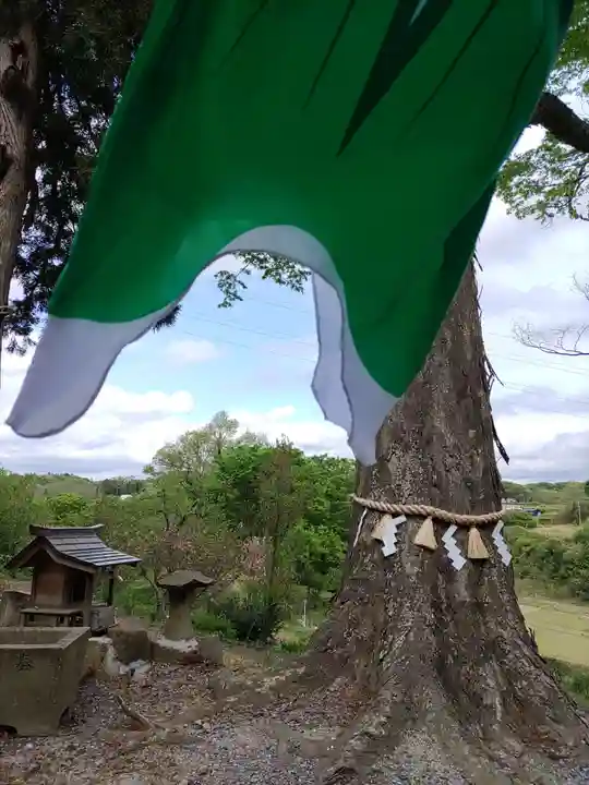 阿久津「田村神社」(郡山市阿久津町)旧社名:伊豆箱根三嶋三社(福島県)