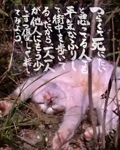 専念寺(大阪府)(2022年10月21日(金) 19時24分16秒投稿)