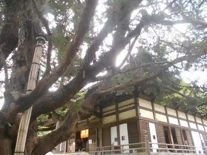 宝戒寺の本殿・本堂