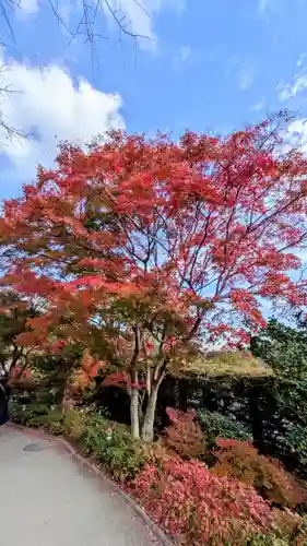 勝尾寺(大阪府)