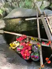 日枝神社(岐阜県)