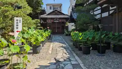 行願寺（革堂）(京都府)