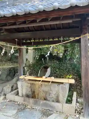 美具久留御魂神社(大阪府)