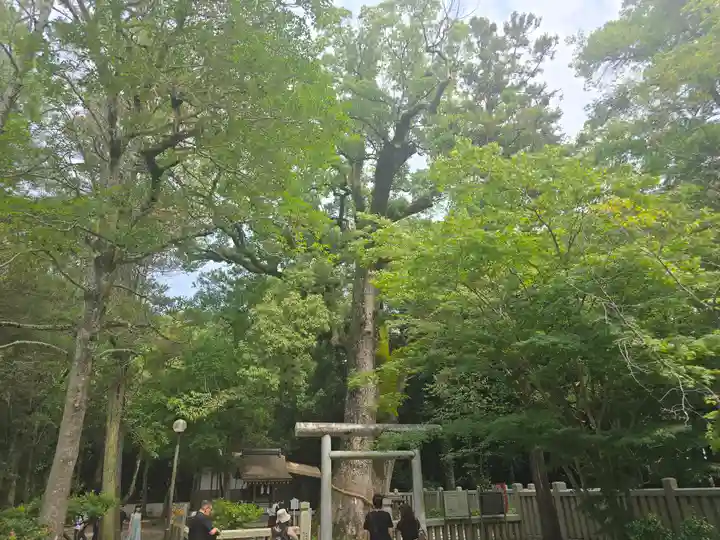 伊弉諾神宮(兵庫県)