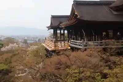 清水寺(京都府)