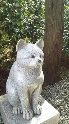座間神社の狛犬