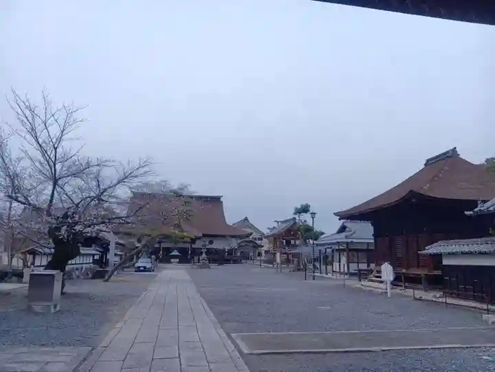 曼陀羅寺(愛知県)