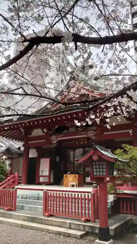 秋葉神社の本殿・本堂