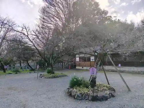 平野神社の{uncategorized: "未分類", other: "その他", undefined: "問題あり", building: "その他建物", grave: "お墓", sacred_gate: "鳥居", guardian: "狛犬", statue: "像", buddha: "仏像", history: "歴史", nature: "自然", garden: "庭園", animal: "動物", pagoda: "塔", temizu: "手水舎", mountain_gate: "山門・神門", sanctuary: "本殿・本堂", subordinate: "末社・摂社", art: "芸術", scenery: "景色", jizo: "地蔵", ema: "絵馬", goshuin: "御朱印", omikuji: "おみくじ", items: "授与品その他", amulet: "お守り", goshuincho: "御朱印帳", eats: "食事", festival: "お祭り", votive_dance: "神楽", shichigosan: "七五三参", wedding: "結婚式", experience: "体験その他", initially: "初詣", around: "周辺", anti_infection: "感染症対策"}