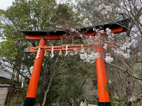 宇治上神社の鳥居