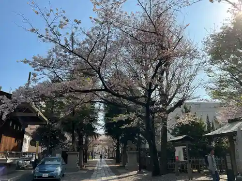 亀戸 香取神社(東京都)