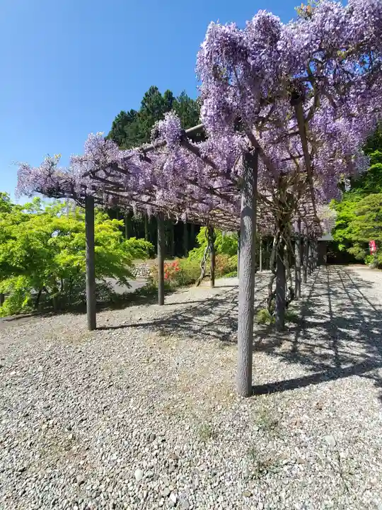 金乗院(那須波切不動尊) の自然