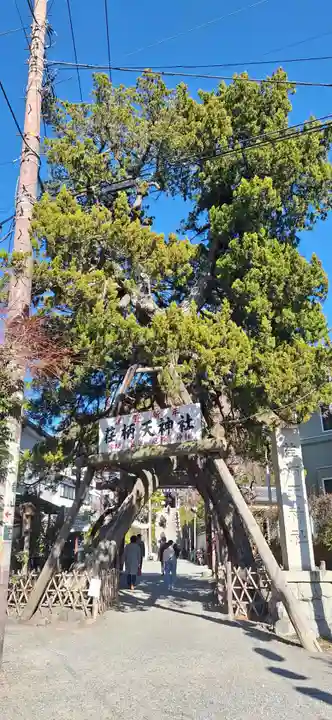 荏柄天神社(神奈川県)
