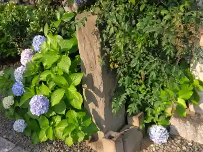 大久保山 自性院(神奈川県)