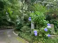 法眼寺(千葉県)