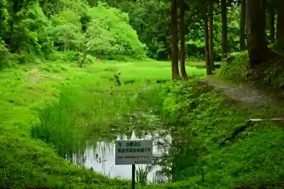 郡殿の池弁財天社(新潟県)