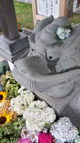 新川皇大神社の手水