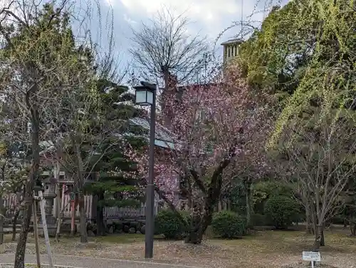 蓮華王院（三十三間堂）(京都府)