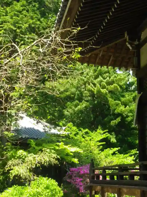 安國論寺(安国論寺)の自然