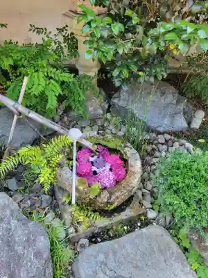 柳谷観音　楊谷寺(京都府)