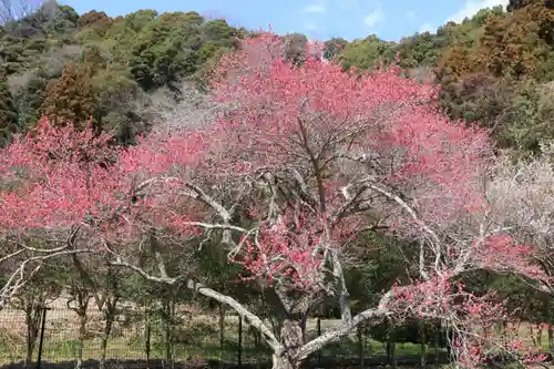白水阿弥陀堂の庭園