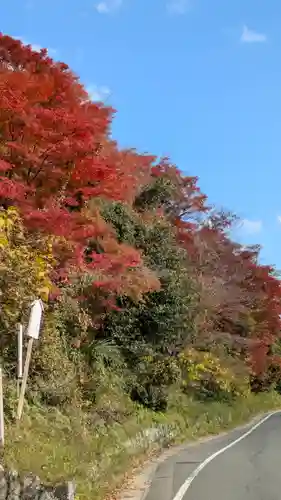 十輪寺(京都府)
