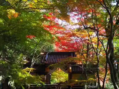 永源寺(滋賀県)