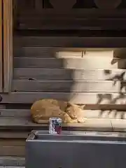 小野照崎神社の動物