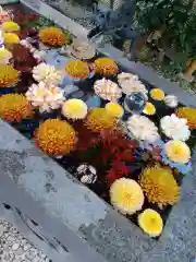 蛇窪神社の手水