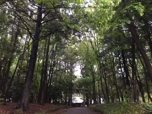 東蕗田天満社のその他建物
