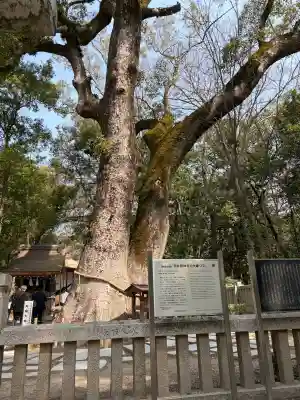 伊弉諾神宮の{uncategorized: "未分類", other: "その他", undefined: "問題あり", building: "その他建物", grave: "お墓", sacred_gate: "鳥居", guardian: "狛犬", statue: "像", buddha: "仏像", history: "歴史", nature: "自然", garden: "庭園", animal: "動物", pagoda: "塔", temizu: "手水舎", mountain_gate: "山門・神門", sanctuary: "本殿・本堂", subordinate: "末社・摂社", art: "芸術", scenery: "景色", jizo: "地蔵", ema: "絵馬", goshuin: "御朱印", omikuji: "おみくじ", items: "授与品その他", amulet: "お守り", goshuincho: "御朱印帳", eats: "食事", festival: "お祭り", votive_dance: "神楽", shichigosan: "七五三参", wedding: "結婚式", experience: "体験その他", initially: "初詣", around: "周辺", anti_infection: "感染症対策"}