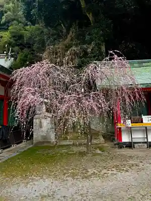 赤間神宮(山口県)