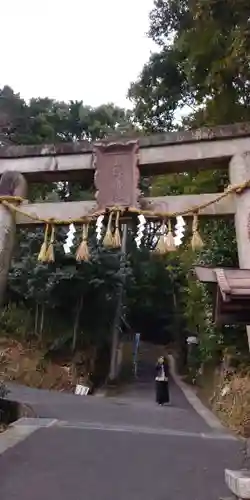 山科神社の鳥居