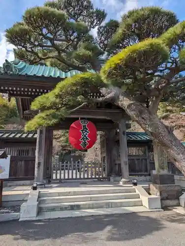 長谷寺(神奈川県)