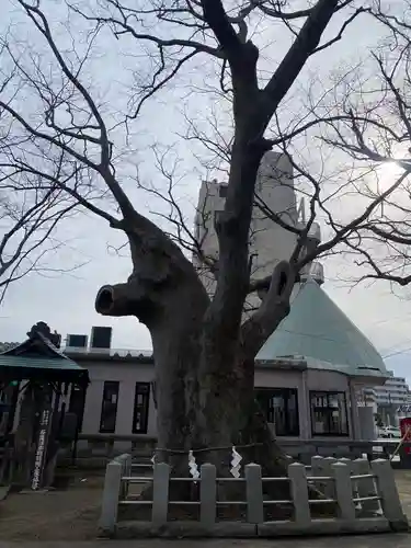 阿邪訶根神社(福島県)